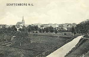 Senftenberg